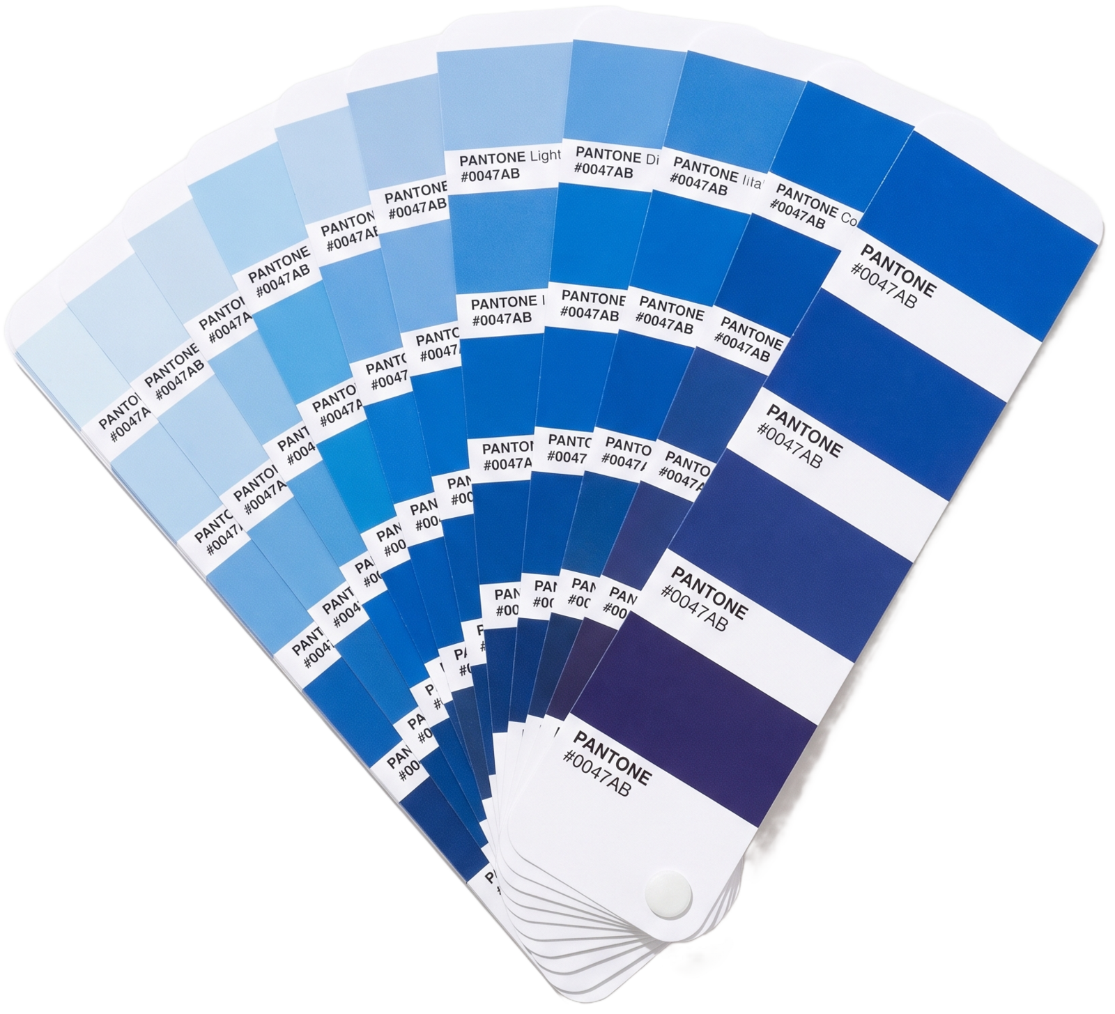 Color Palette